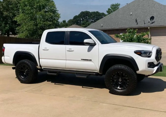 black rhino sentinel